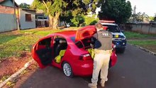 PRF apreende 360 quilos de maconha em Alto Paraíso e Guaíra em menos de 1 hora