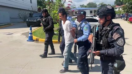 Recapturan El Burro en San Pedro Sula