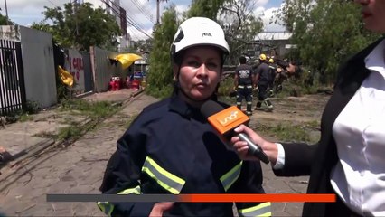 cae árbol por fuertes vientos