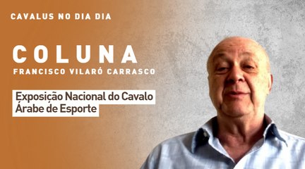 Cavalus no Dia Dia: Exposição Nacional do Cavalo Árabe de Esporte
