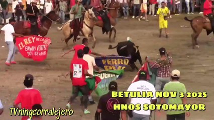 Corralejas Betulia 2025 | Toros de Hnos. Sotomayor