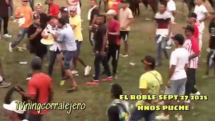 Corralejas El Roble 2025 | Toros de Hnos. Puche