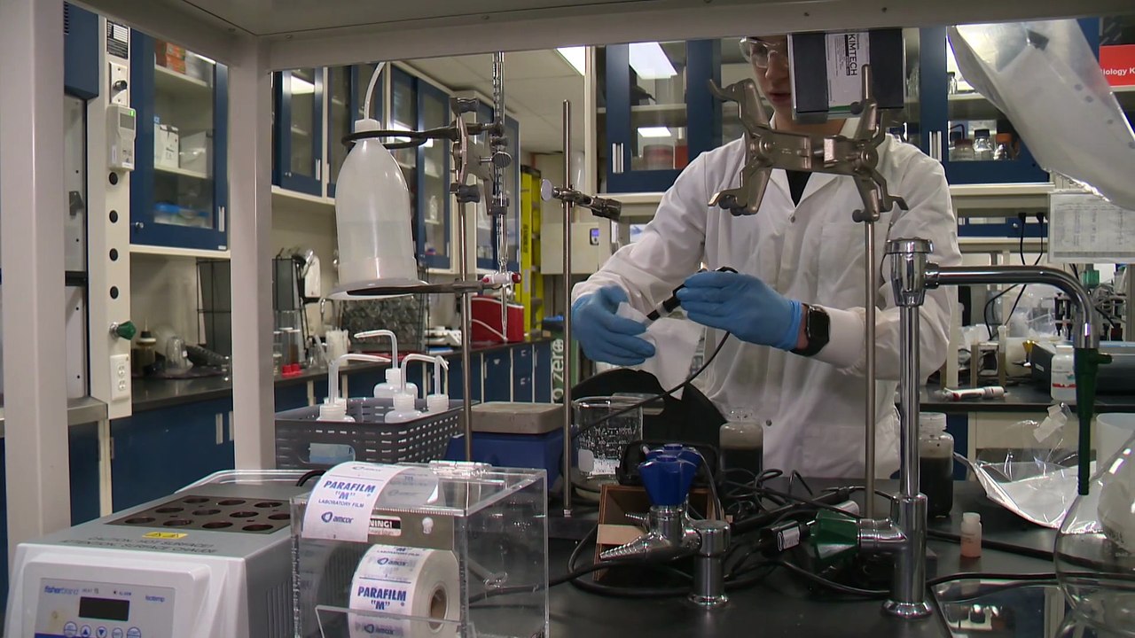 Une première au Québec : transformer des plantes envahissantes en biogaz