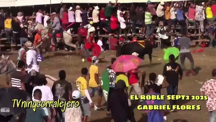 Corralejas El Roble 2025 | Toros de Gabriel Florez