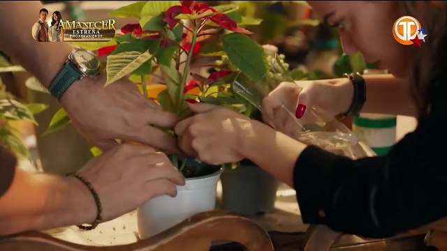 Una Vida Perfecta Capitulo 14 Telemetro - Series y Novelas JL