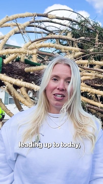 Rockefeller Christmas tree donor calls 75-foot Norway spruce 'everyone's Christmas tree'