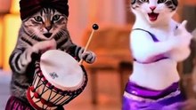 funny cats dance #funne #cat #ai #funne dance #animalas #meme