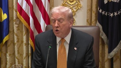 Trump hosts Viktor Orbán at WH, praises Hungary’s limited crime: 'He's run a really great country'