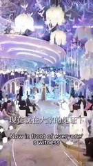 My flash marriage with the Boss   (Chinese Drama English Subtitles )