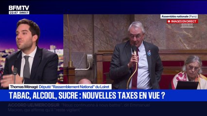 Taxes: "On n'est pas prêt à accepter une partie recette qui va augmenter massivement les impôts", explique Thomas Ménagé, député RN