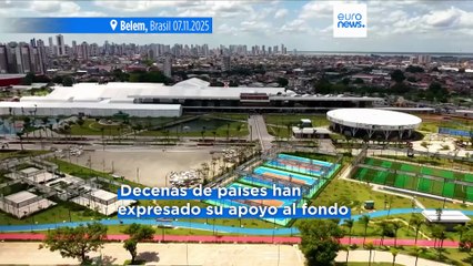 COP30: Alemania se compromete a apoyar la iniciativa de Brasil para conservar los bosques tropicales