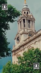 Bound by Honor [Full]