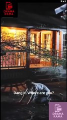 Desired by Two: The Vampire and The Hunter