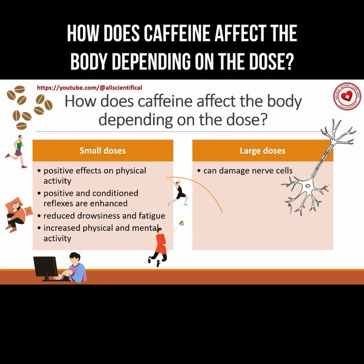 How does caffeine affect the body depending on the dose? - video ...
