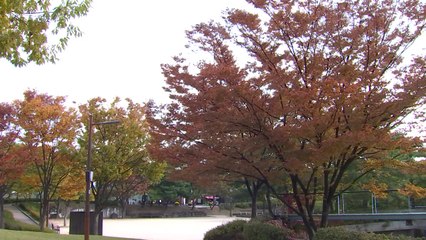 [날씨] 온화한 주말...한낮 흐리고 차츰 전국 비 조금 / YTN