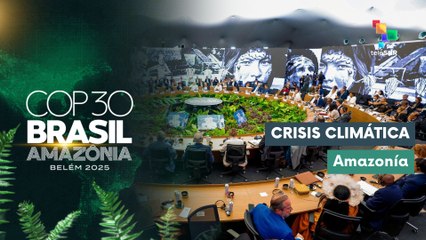 César Ipenza: "No hay resultados claros contra el cambio climático"