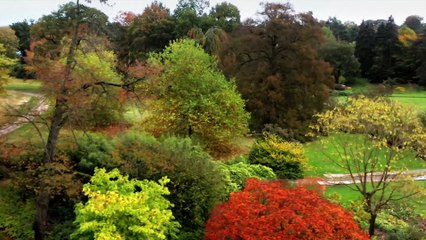 Britains Most Scenic Counties Cheshire S01E04MY5H 264