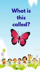 what is this called? || Guess the last one? || Amna's Stories