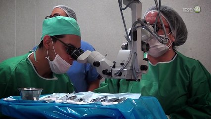 ¿Sabes qué tanto riesgo tienes de desarrollar glaucoma?