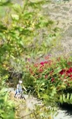 Hot 2025 Into Bed With My Husbands Secret RivalSHortmax