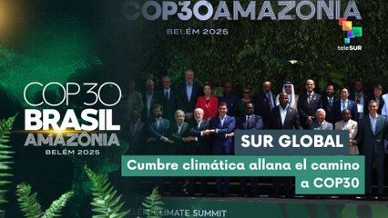 Crean fondo "Selvas Tropicales para Siempre"