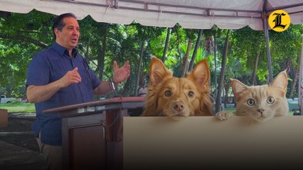 Mañana inicia Jornada Nacional de Vacunación Antirrábica para perros y gatos