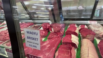 트럼프, 법무부에 '소고기 가격 담합' 수사 지시 / YTN