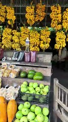 Jenni Claros se despide de Honduras