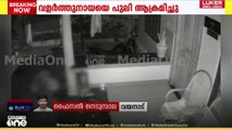 വളർത്തു നായയെ പുലി ആക്രമിച്ചു; സിസിടിവി ദൃശ്യങ്ങൾ പുറത്ത്
