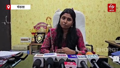 छत्तीसगढ़ के रास्ते मंडला आए जंगली हाथियों की धमाचौकड़ी, धान की फसलें रौंद डाली