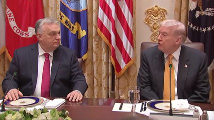 트럼프 "러시아산 원유 수입, 헝가리엔 허용 검토" / YTN