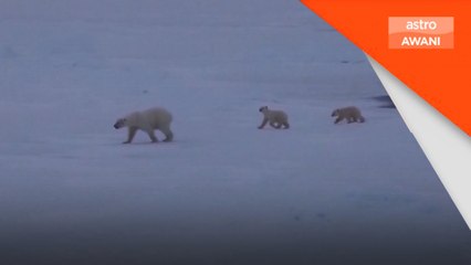 2025 antara tiga tahun paling panas direkodkan