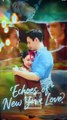 [Exclusive] Echoes of New York Love FULL