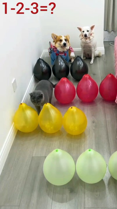 VID-1762505222887