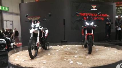 2026 Moto Morini Kanguro 300 – Neue A2-Enduro feiert Premiere