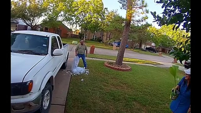 EPIC FAILS ONLY 😂 Try Not To Laugh Challenge | Funniest Fails Compilation 2025