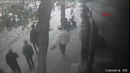 İstanbul'da iş insanına sokak ortasında saldırı: Tek suçu kedi beslemekti!