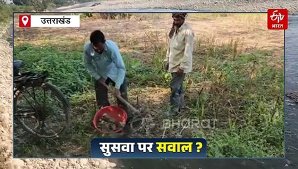 जीवनदायिनी सुसवा नदी बनी खौफ का दूसरा नाम, प्रदूषण ने कर दिया बदनाम!