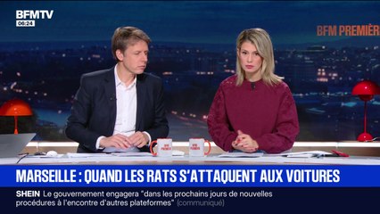 BFM Première week-end - Samedi 8 novembre 2025