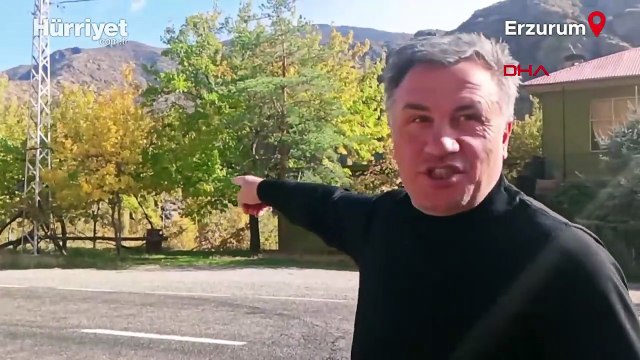 Mahalleye inen dağ keçileri, evlerin arasında dolaşıyor