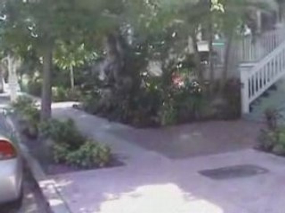 Miami NY 018