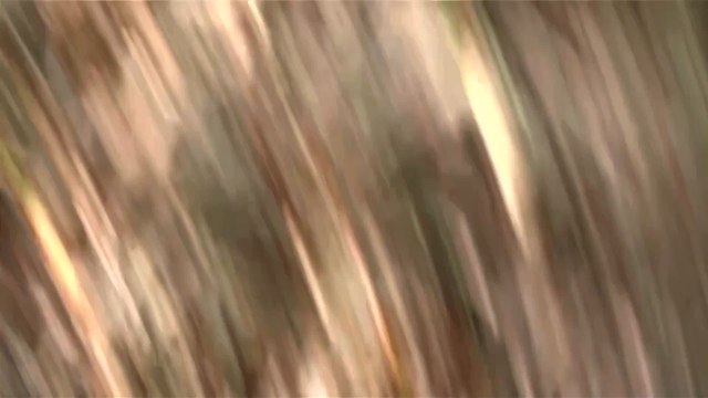 Chicago mayor urges UN to investigate US human rights abuses under Trump administration