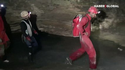 Dünyanın en büyük örümcek ağı keşfedildi