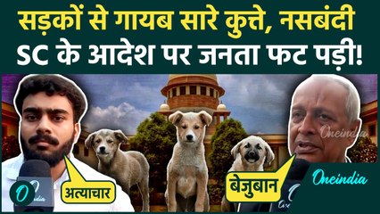 Supreme Court Stray Dogs Order: सड़कों से कुत्ते गायब, Supreme Court के आदेश पर Dog Lovers क्या बोले