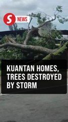 Over 60 houses damaged, 13 trees uprooted due to storm in Kuantan