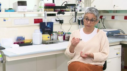 Mayán, líder del proyecto ganador del Premio Zendal: "Los cribados son una oportunidad de vida"