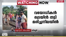 തിരൂർ മൂച്ചിക്കൽ ഓവർ ബ്രിഡ്ജിനു സമീപം 60കാരൻ ട്രെയിൻ തട്ടി മരിച്ചനിലയിൽ