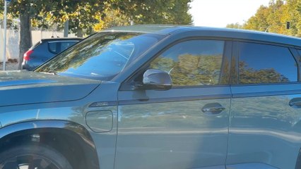 La llegada de Ceballos