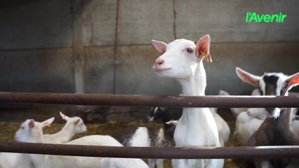 Des agriculteurs du Plateau de Herve ont appris à fabriquer un "probiotique" pour rendre le sol plus résilient