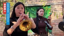 唢呐高手演奏豫剧《洼洼地里好庄家》，熟悉的旋律，好听极了！